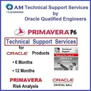 ☎ Primavera P6 Worldwide Remote Technical Support Assistance Multiple Databases