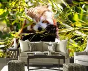 3D Cute Red Panda G249 Wallpaper Mural Self-adhesive Removable Sticker Honey