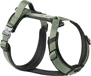 PawsPassion Dog Harness for Small Dogs, Chew-Proof Metal Hardware, Easy Walk Dog Harness, Ergonomic Y-Shaped Design, Soft Padding, Padded Handle, Durable High-Tensile Nylon (Evergreen, S)