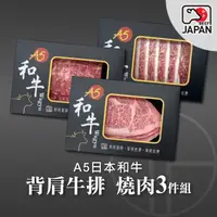 在飛比找HOTAI購優惠-【洋希國際】A5日本和牛｜背肩牛排 燒肉3件組