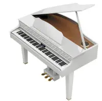 在飛比找Yahoo!奇摩拍賣優惠-Roland GP607-PW 迷你平台鋼琴