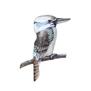 Darlin Capiz/Metal 40x35cm Kookaburra Wall Art Hanging Home/Room Decor Display