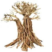 Aquascaping Handmade Aquatic Bonsai Driftwood Tree 25cm(L)x20cm(H) ABQ127 For Fish Shrimp Snail Tank Aquarium