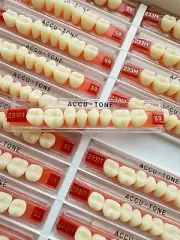 Acrylic Resin False Teeth Accutone Posterior Lower A1/59-233M dentures box 160ps