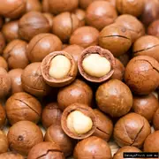 Buy Macadamia 849 Tree - Macadamia tetraphylla
