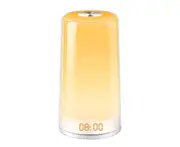 Wake Up Light, LED Alarm Clock Sunrise Simulation Digital LED Clock Touch Control Night Light 5 Natural Sounds,3 Brightness Bedside Lamp for Bedrooms