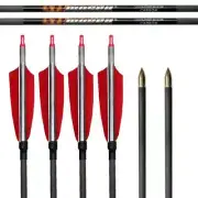 12x 31" PURE CARBON ARROWS FEATHER RECURVE BOW LONGBOW HUNTING TARGET SP500