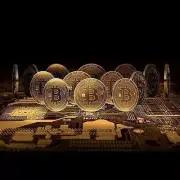 Color: Silver,Size: Single - Bit Coins The Celebratory Coins In Crystal Clear Ca