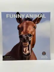 2025 Wall Calendar White Elephants Funny Animal Memes 14 Monthly Calendar 12"...