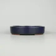 Japanese bonsai pot TOKONAME YOZAN Oval shape W18.5cm H4cm Ruri-Blue Glazed