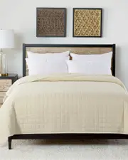 St. James Home Velvet Trim Down Alt Blanket