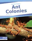 Animal Teams: Ant Colonies by Lilley, Matt