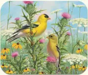 Fiddler’s Elbow Goldfinches Bird Mouse Pad Art by Mark Hanson NWT