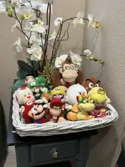 Super Mario collectible beanie plush collection