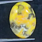 13.10 Ct 100% Natural Yellow Bumble Bee Jasper Cabochon gems for jewelry
