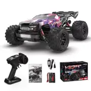 4WD Stunt Car RC Off Roader Monster Truck Viper 35km/h