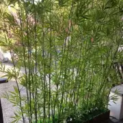 50 Pcs Outdoor Decor Faux Greenery Artificial Palm Tree Bamboo