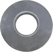 Yukon (YSPTW-039) Pinion Gear and Thrust Washer for GM 8.25" IFS Differential