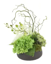 Creative Displays Organic Modern Arrangement with Orchids & Hydrangeas