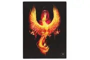 Anne Stokes Phoenix Rising Canvas Plaque (Black/Orange) (One Size)