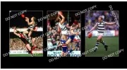 GARY ABLETT Snr GEELONG FC GREAT 3 8x6 LARGE PHOTOS