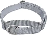 SGODA Martingale Dog Collar, Reflective Nylon Padded Dog Training Collars for Small Dogs, Grey S