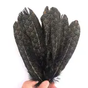 Goose Pointer Printed Black Feather Art Craft - Gold Circles Style 17 x 10 pcs