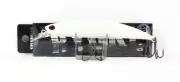 Duo Spearhead Ryuki 110S Sinking Lure ACCZ049 (3736)