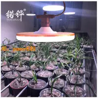 在飛比找樂天市場購物網優惠-【可開發票】锘鏵led植物燈室內陽臺蘭花綠植花卉大范圍光照燈