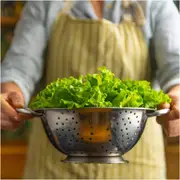 Lettuce - Grand Rapids seeds