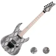 Reedoox Snake Skin 2014 FR Floyd Rose Push Pull Unique Graphic Electric Guitar