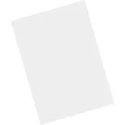 Zebra Tempered Glass Screen Protector - For LCD Handheld Terminal
