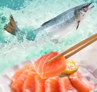 在飛比找鮮拾優惠-【鮮食堂】(4包)澳洲冰鮮空運鮭魚生魚片 (100g±10%