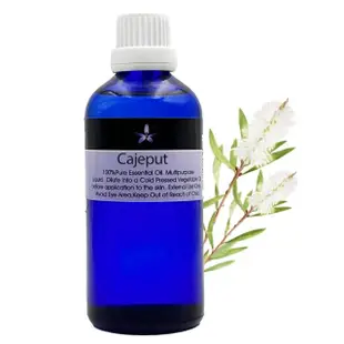 【Body Temple】白千層芳療精油100ml(Cajeput)