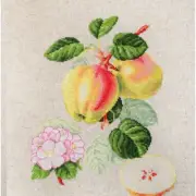 StitchFruit: Apricot-Peach Cross Stitch Delight Kit