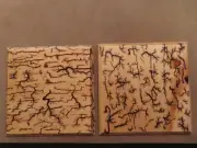 Lichtenberg (Fractal) Electrocuted Wood Burning Art -2 beveled pieces - pine