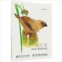 在飛比找Yahoo!奇摩拍賣優惠-99【色鉛筆畫】鳥之美(32種鳥兒彩色鉛筆手繪) 平裝特價特