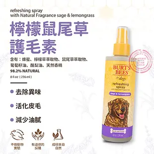 【Burt's Bees 小蜜蜂爺爺】花果蜜芳檸檬鼠尾草 寵物護毛素 8oz - 官方旗艦店