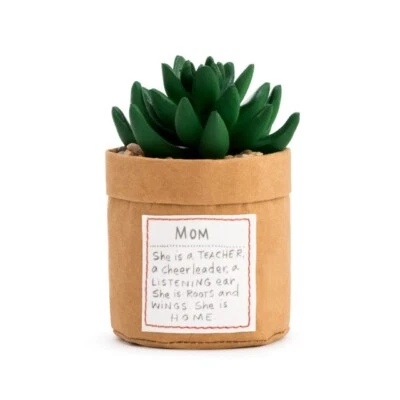 Demdaco Lori Siebert Fake Artificial Succulent Plant Home Decor "Mom", New