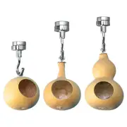 Jumping Spider House Jumping Spider Hiding Nest With Magnetism Natural Gourds