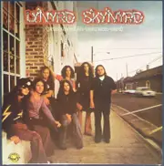 Lynyrd Skynyrd Pronounced Leh Nerd Skin Vinyl