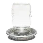 Bainbridge Galvanised Poultry Drinker with Glass Mason Jar 1L