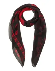[MCQUEEN] MCQUEEN Scarves - Item 31038987