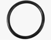 Replacement O-Ring for Summer Waves SFS1500 & SFS1000 Filter Systems