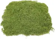 GANAZONO Artificial Grass Rug Durable Synthetic Turf for Outdoor Patio Balcony Garden Lifelike Faux Moss Decoration Low Maintenance Green Lawn Carpet Versatile Use for Miniature Landscapes