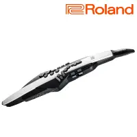 在飛比找Yahoo奇摩購物中心優惠-『ROLAND樂蘭』Aerophone GO電子薩克斯風 A