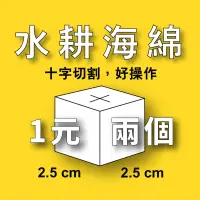 在飛比找iOPEN Mall優惠-水耕海綿兩顆一元｜定植棉