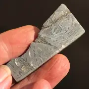 Natural Xizang Iron IAB Meteorite 67.3 Grams End-Cut Etched Perfect Fusion Crust