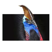 WUPRO CBSP Fixed Frame Projector Screen 92/100/110/120-Inch 160° Viewing Angle 3D 4K/8K UHD 150:1 Contrast Skinny Bordes