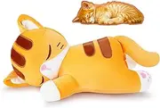 Cat Stuffed Animal,Squishy Cat Plush Pillow,Soft Kitten Plush Kawaii Hugging Pillow,Cute Plush Toys Cuddle Plushie for Kids Adults Gifts Birthday(Orange Cat,14”)